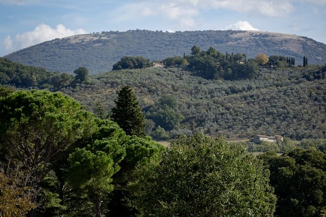 Private E Bike Tour in the Olivata Area Assisi Spello Foligno - Booking Information