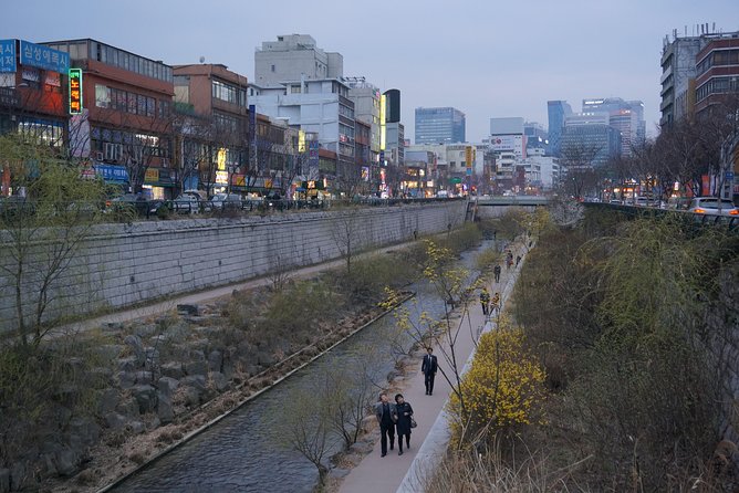 Private English Speaking Driver in Seoul: Airport Service Available - Traveler Experiences and Feedback