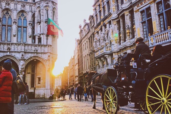 Private Evening Tour: The Dark Side of Brussels - Meeting and End Points