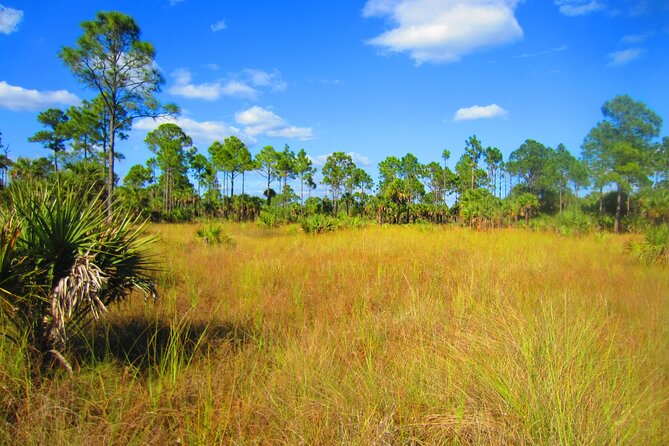 Private Everglades and History Tour With Optional Airboat Ride - Included Amenities