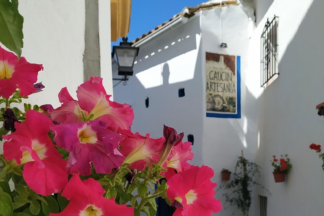 Private Excursion to Ronda From Costa Del Sol 7 Hours - Breathtaking Views