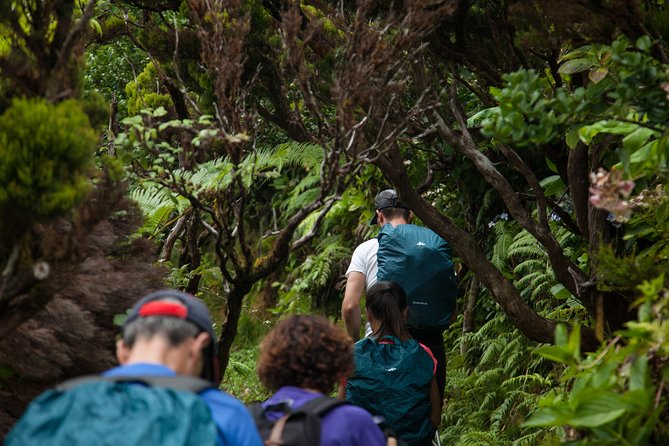 Private Faial Hike: 10 Volcanoes Trail  - Horta - Safety and Accessibility Considerations