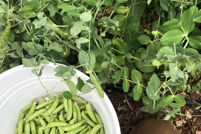 Private Farm Workshop in Napa Valley - Sum Up