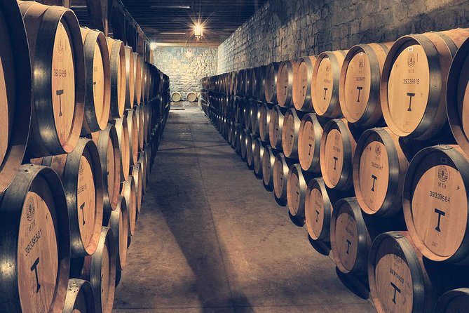 Private Full Day City Tour of Santiago With Wine Experience - Traveler Reviews and Ratings