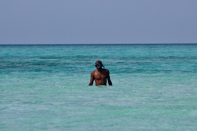 Private Full-Day Cruise on Sandbank and Kwale Island - Activities on the Cruise