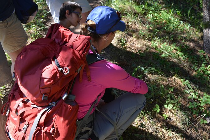 Private Full-Day Grand Canyon of Yellowstone Hiking Adventure (Up to 8 People) - What to Expect