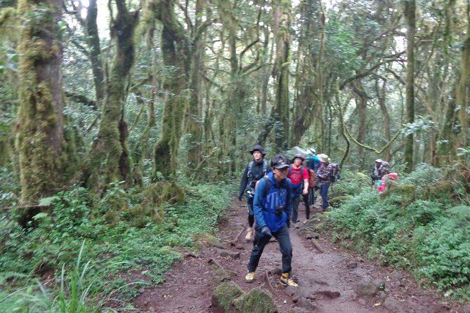 Private Full-Day Hiking Tour in Mount Kilimanjaro - Highlights of the Tour