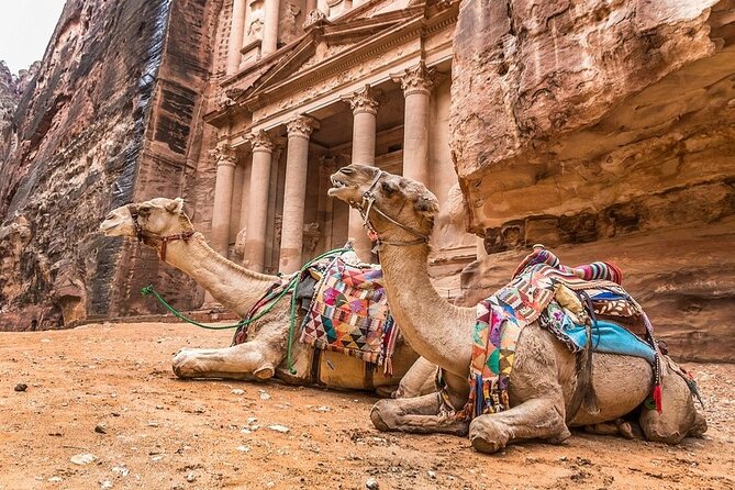 Private Full Day Petra and Wadi Rum Tour From Amman - Cancellation Policy