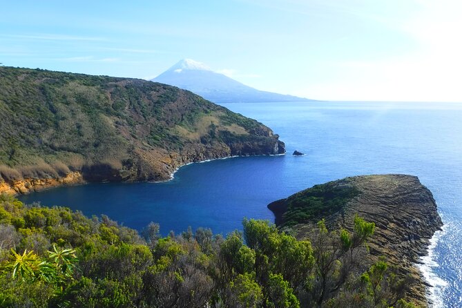 Private Full Day Tour - Faial Island (Up to 8 People) - Pickup Locations