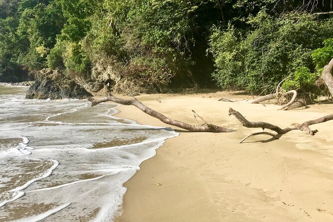Private Full Day Tour in Pirates Bay From Trinidad and Tobago - Tour Conditions