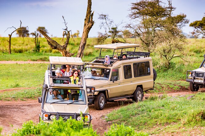 Private Full Day Trip in Lake Manyara National Park - Traveler Restrictions and Considerations