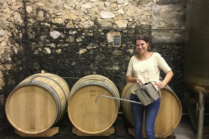 Private Full Day Wine Tour and Medieval Village From Montpellier - Savor Premium Wine Tastings