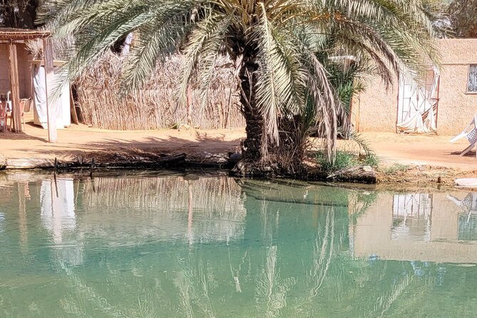 Private Getaway in the Desert Like No Other - Accessibility Considerations