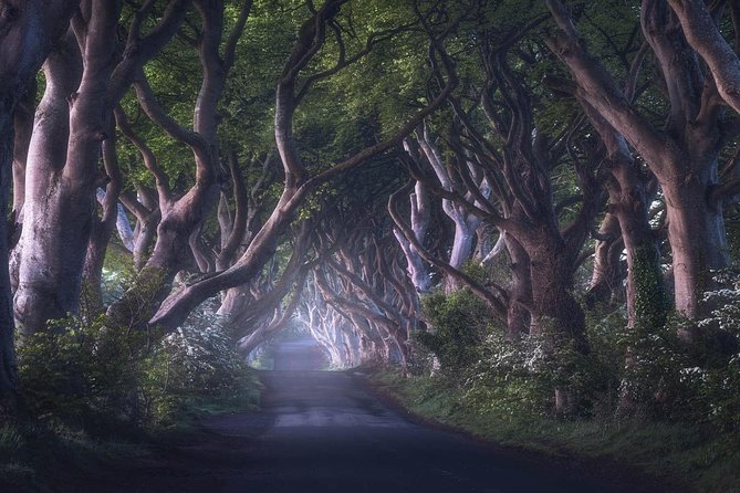 Private Giants Causeway Experience Extended From Belfast - Pricing and Booking