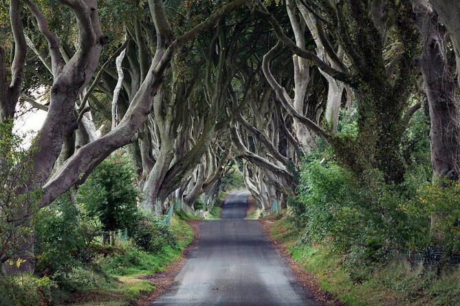 Private Giants Causeway Tour Including Game of Thrones Sites - Highlights of the Private Tour