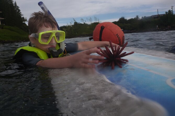 Private Group Snorkel Adventure on Tropical Reef With Sea Turtles - Frequently Asked Questions