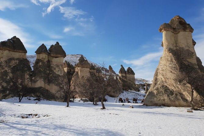 Private Guide in Cappadocia, Turkey - Booking Information