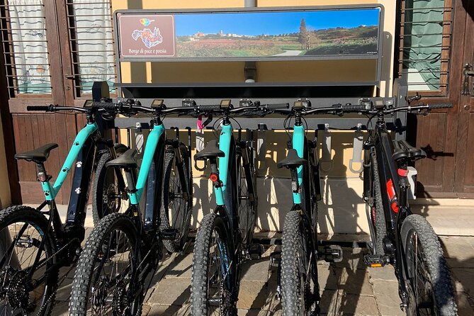 Private Guided E-bike Tour in Bertinoro - Accessibility Features