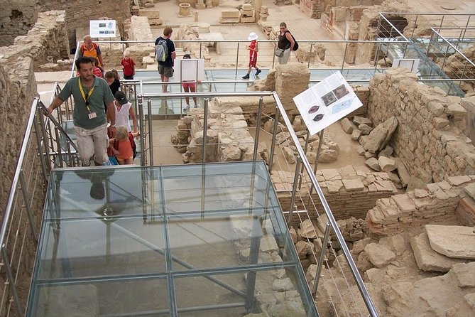 Private Guided Ephesus, Terraced House & Temple of Artemis - Customized Tour Experience
