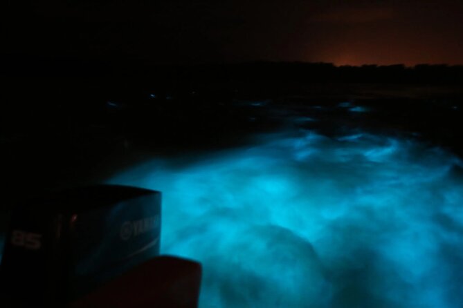 Private Guided Night Tour of Luminous Lagoon in Montego Bay - Good To Know