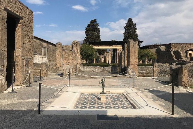 Private Guided Tour. Experience the Everyday Life of the Eternal Town of Pompeii - Private Group Participation