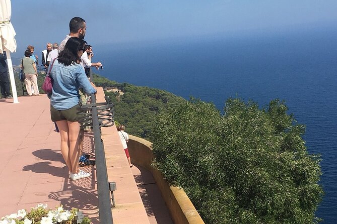 Private Guided Tour of Costa Brava From Barcelona - Booking Process and Accessibility