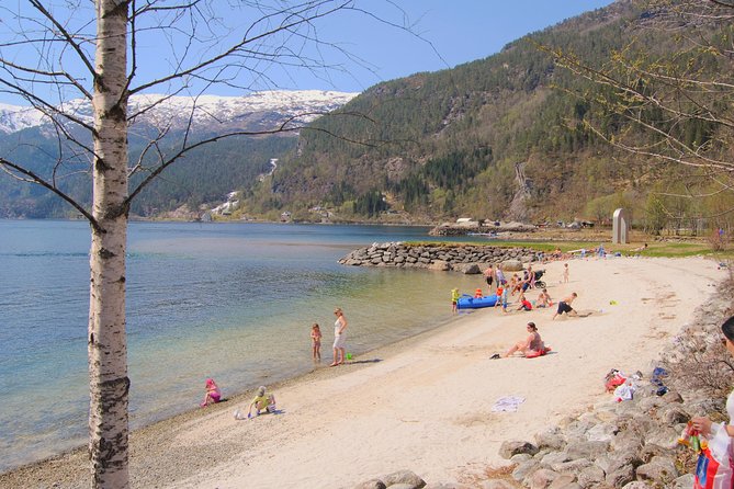 PRIVATE GUIDED Tour: Secrets of the Fjords - the Osterfjord and Mo, 6-7 Hours - Reviews and Feedback