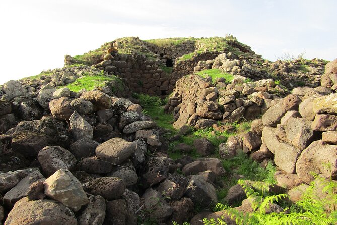 Private Guided Tour to Borore in the Bronze Age - Itinerary and Activities