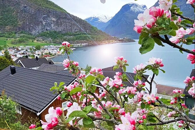 Private Guided Tour to Oslo Nærøyfjord Cruise and Flåm Railway - Exploring Nærøyfjord and Aurlandsfjord