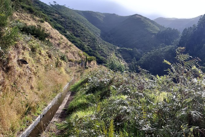 Private Guided Walk Levada Ponta Do Pargo - Children and Service Animals