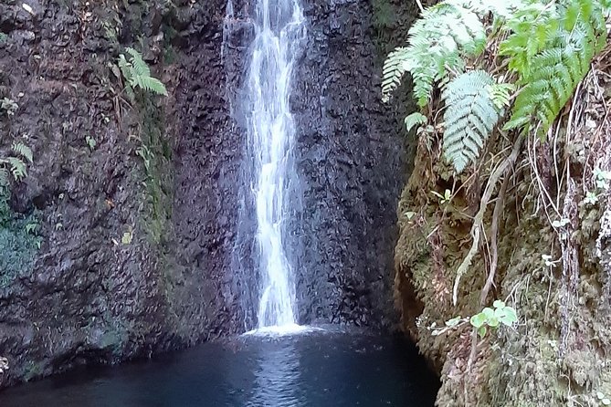 Private Guided Walk Porto Moniz Levada Do Moinho - Additional Provided Equipment