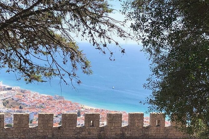 Private Half Day Arrabida Tour With Wine Tasting in Sesimbra - Positive Guest Experiences