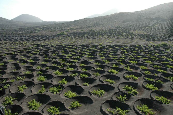 Private Half Day Excursion to Lanzarote With Pick-Up and Drop-Off - What to Expect During the Tour