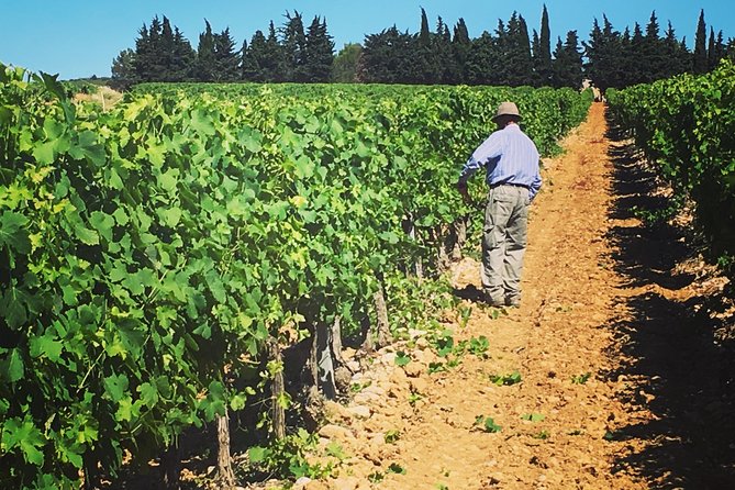 Private Half-Day Languedoc Wine Tour Review - Pickup Information