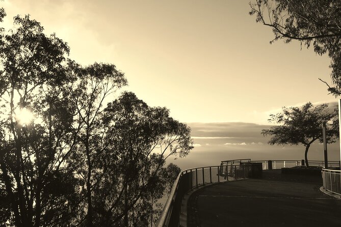 Private Half-Day Morning 4x4 Tour From Funchal - Health and Safety Guidelines