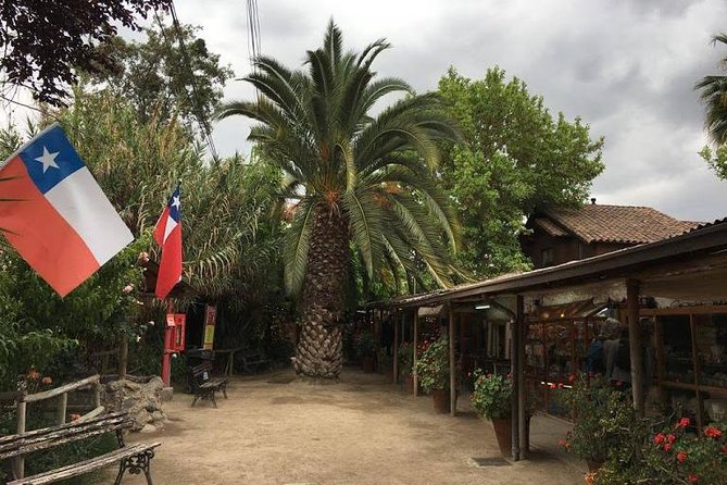 Private Half Day Tour in Santiago - Traveler Experiences