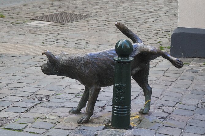 Private Half Day Tour of Brussels - Reviews and Ratings