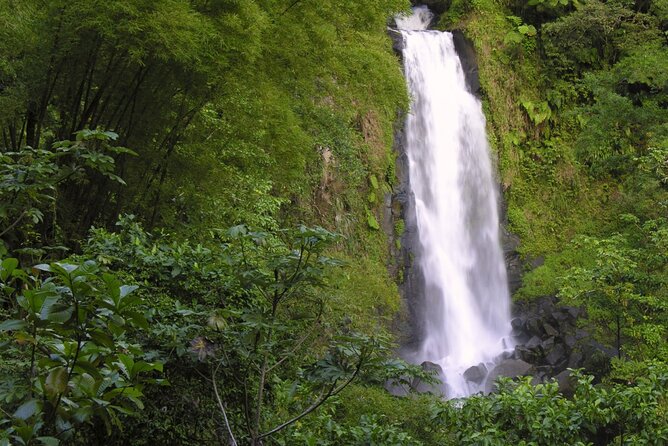 Private Half Day Tour of Roseaus Natural Beauty - Accessibility and Participation
