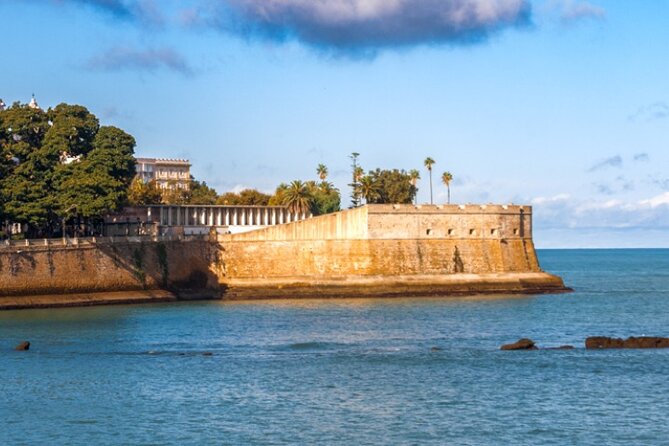 Private Healthy Food Experience and Walking Tour in Cadiz - Accessibility Features