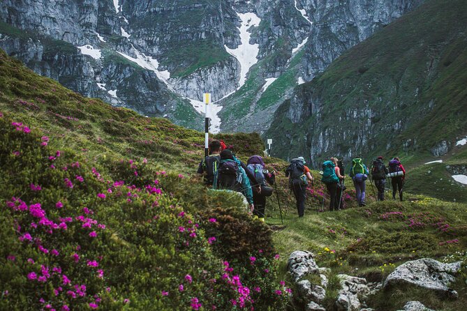 Private Hiking to Bucegi Natural Park From Brasov - Transparent Pricing Breakdown
