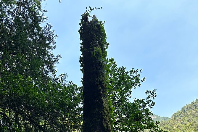 Private Hiking Tour to Olympus Mountain - Pricing Details and Cancellation Policy