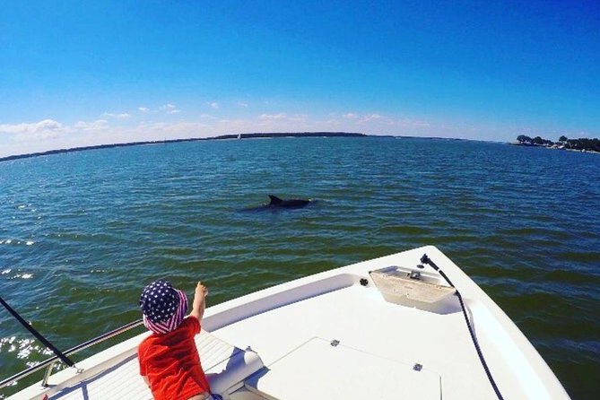 Private Hilton Head Sunset Dolphin Tour - Important Participant Information