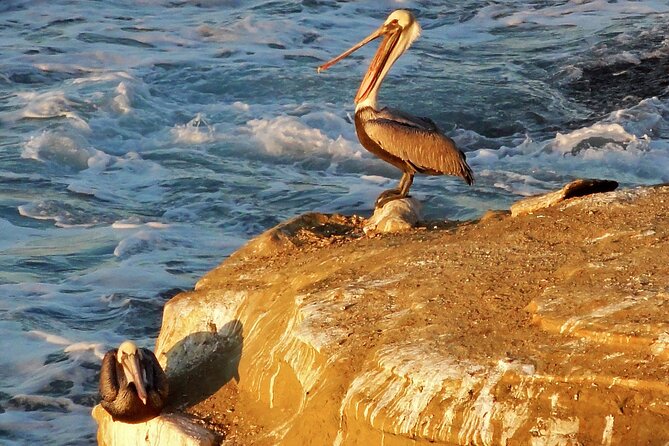 Private Instagrammable San Diego Tour – Scenic and Coastal - Pickup and Meeting Point