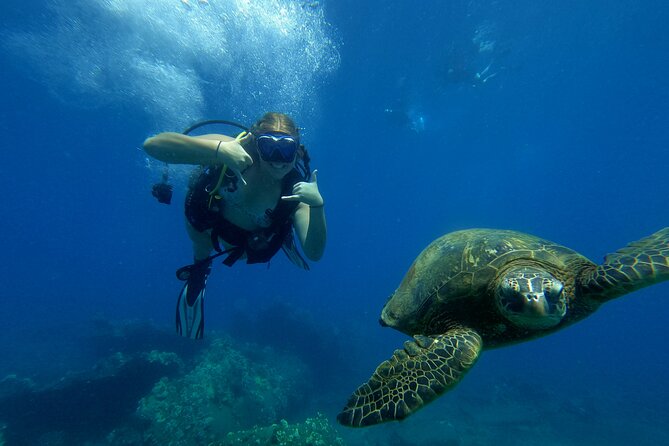 Private Intro SCUBA Adventure - Experiences and Feedback