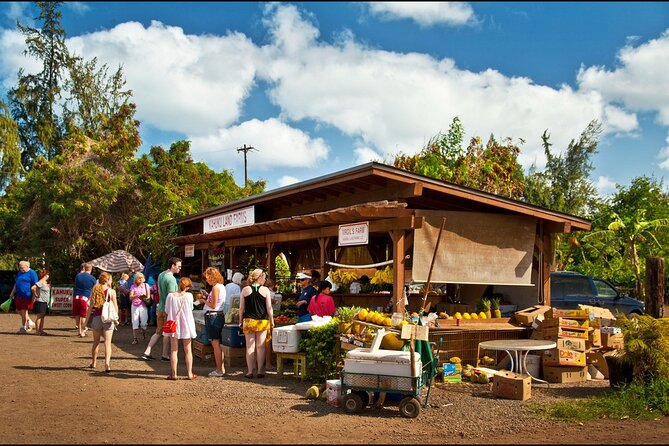 Private Island Tour up to 24 People - Booking Process