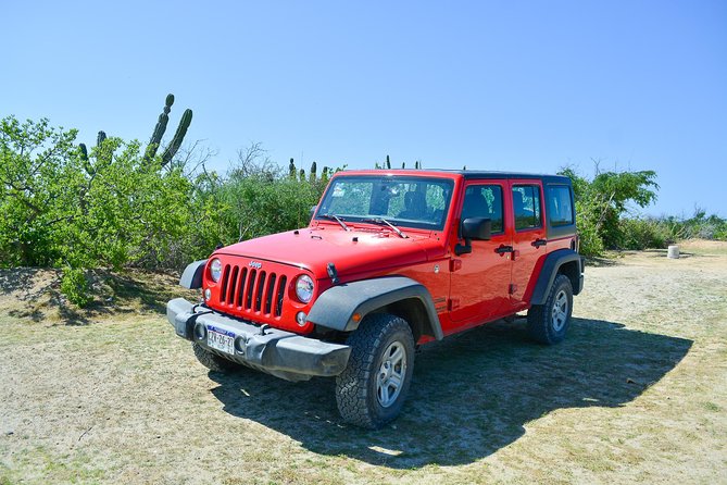 Private Jeep Tour Cabo Pulmo - Cancellation Policy and Weather Considerations