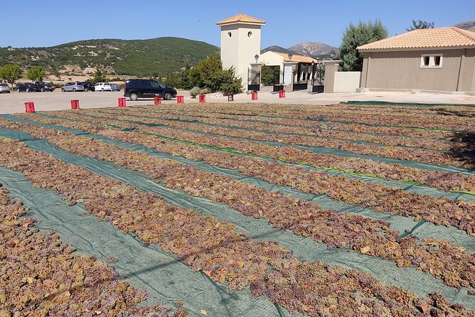 Private Kefalonian Olive Oil, Honey Tasting and Wine Tour - Exploring Local Flavors and Traditions
