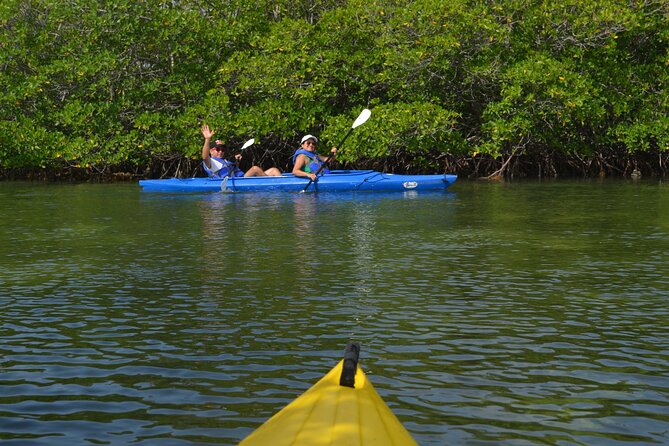 Private Key West Sandbar and Paddle by Boat - Participant Guidelines