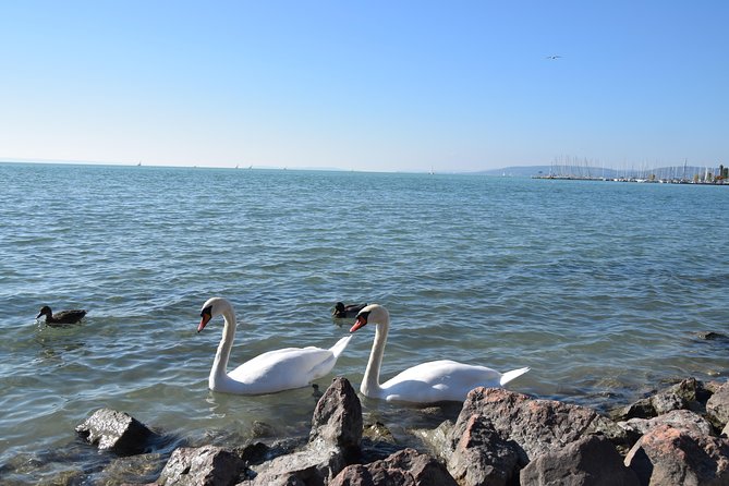 Private Lake Balaton Experience Review - Reviews and Ratings