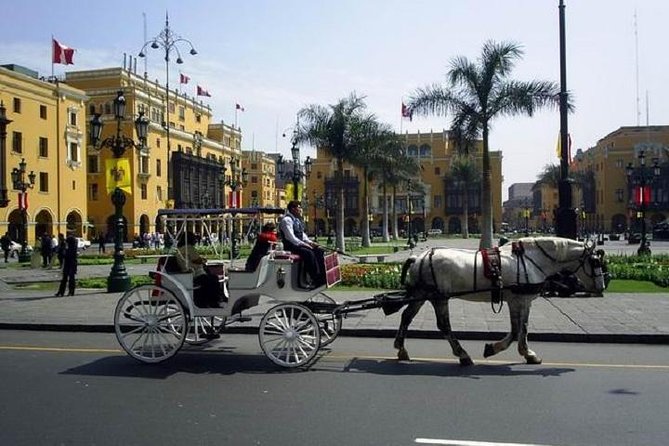 Private Lima City Tour With Larco Museum - Booking and Cancellation Policy